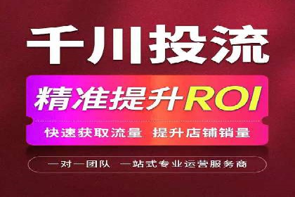 百度联盟推广网络覆盖的案例研究